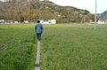 p08483.jpg