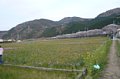p08495.jpg