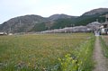 p08496.jpg