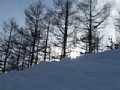 p09770.jpg