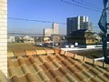 p09805.jpg
