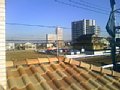 p09806.jpg