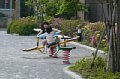 p10021.jpg