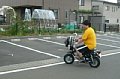 p10043.jpg