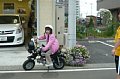 p10046.jpg