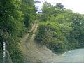 p10095.jpg