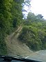 p10096.jpg
