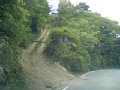 p10097.jpg