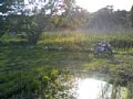 p10105.jpg