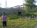 p10109.jpg
