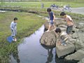 p10128.jpg