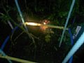 p10133.jpg