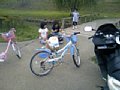 p10140.jpg