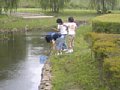 p10143.jpg