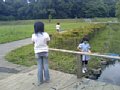 p10144.jpg