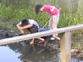 p10199.jpg