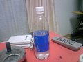 p10205.jpg