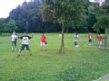 p10217.jpg