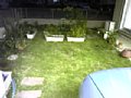 p10279.jpg