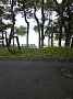 p10419.jpg