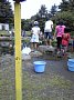 p10434.jpg