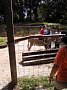 p10447.jpg