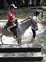 p10448.jpg