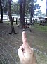 p10452.jpg
