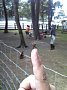 p10453.jpg