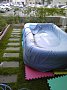 p10474.jpg