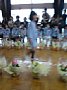 p10553.jpg