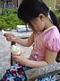 p10616.jpg