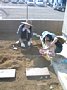 p10814.jpg