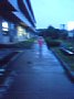p10861.jpg