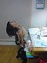 p10941.jpg