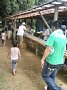 p10948.jpg