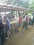 p10950.jpg