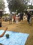 p10951.jpg