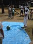 p10953.jpg