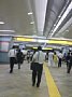 p11029.jpg