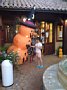 p11070.jpg