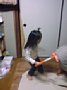 p11129.jpg