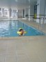p11158.jpg