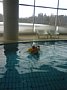 p11161.jpg