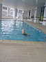 p11168.jpg