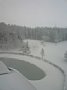 p11185.jpg