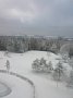 p11187.jpg