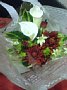 p11211.jpg