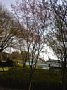 p11218.jpg