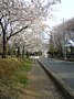 p11230.jpg